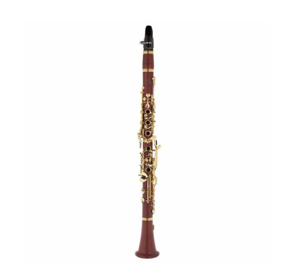 The life of a musician in 2025 - What is it really like? | Morningside School of Music Flute, FLutes, Flutes in Edinburgh, Edinburgh Flute Lessons,