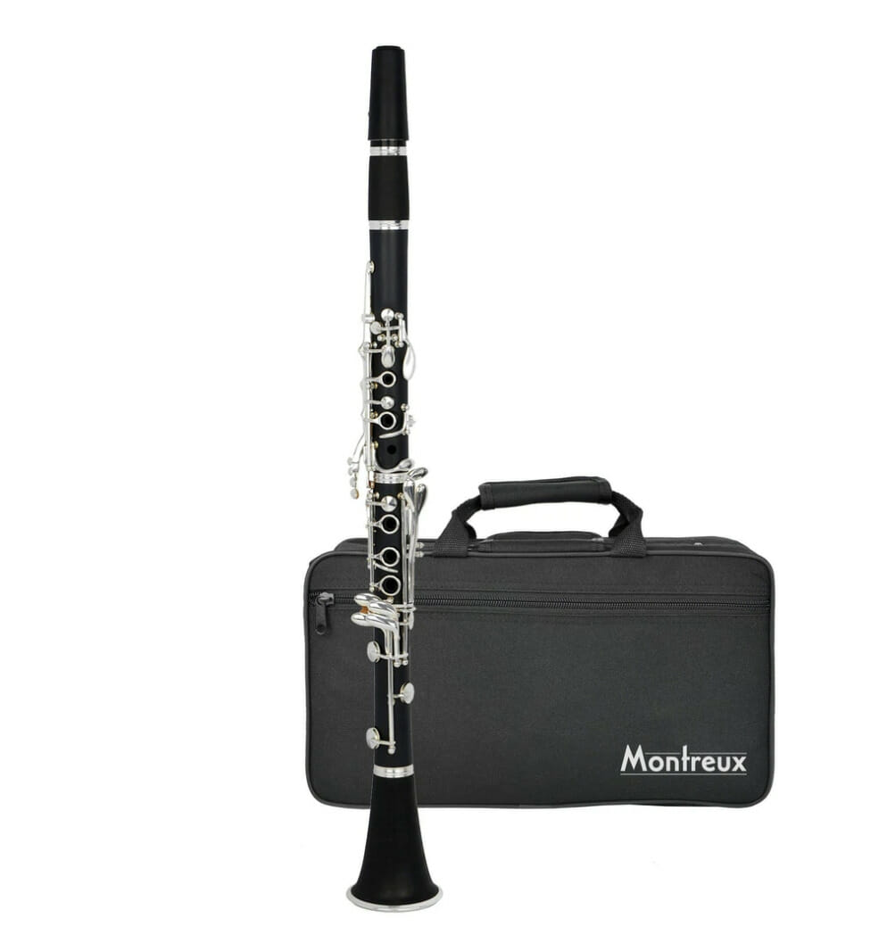 The life of a musician in 2025 - What is it really like? | Morningside School of Music Flute teacher near me, flute, lessons, classes, adults, beginners, kids,