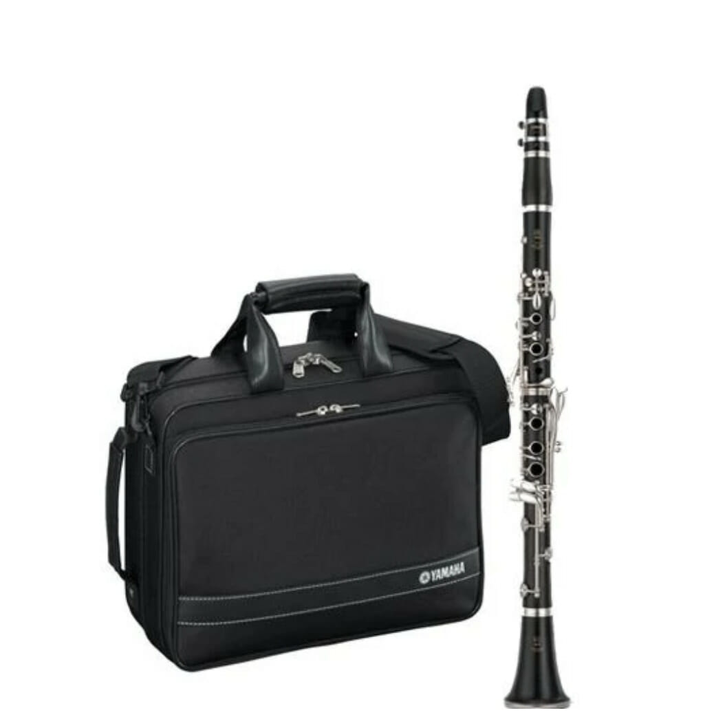 The life of a musician in 2025 - What is it really like? | Morningside School of Music Flutes, Clarinets, Violins and Saxophones